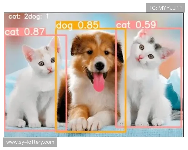 基于生物特征识别技术的智能解锁安全策略研究