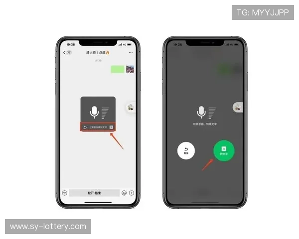 语音转文字软件准确度评测与优化分析探讨